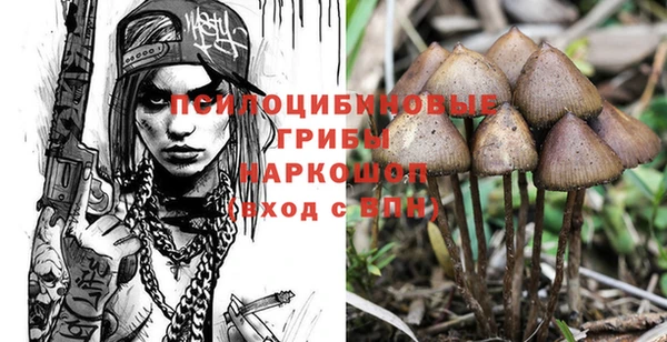 бошки Дмитриев