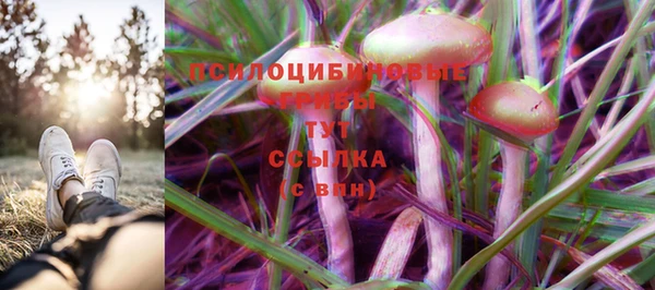 скорость Дмитров