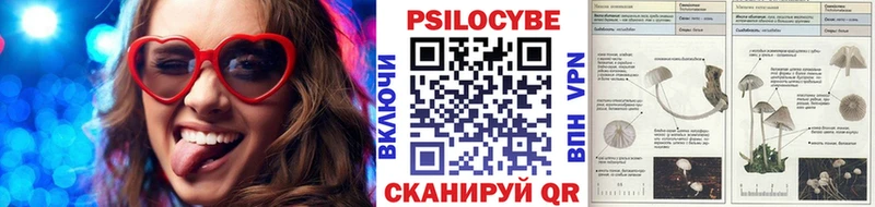 Купить закладки  Мичуринск  Галлюциногенные грибы мухоморы 